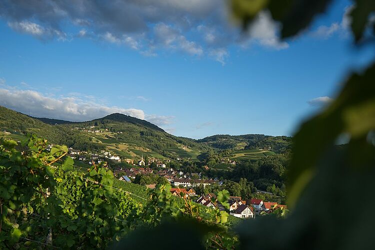 Sasbachwalden