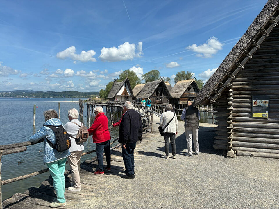 Seniorentagesausflug Bodensee Seniorinnen und Senioren schauen Richtung Bodensee im Pfahlbautenmuseum.