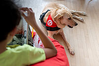 Ein Kind mit Buch in der Hand auf einem Sitzsack, im Hintergrund ein Therapiehund
